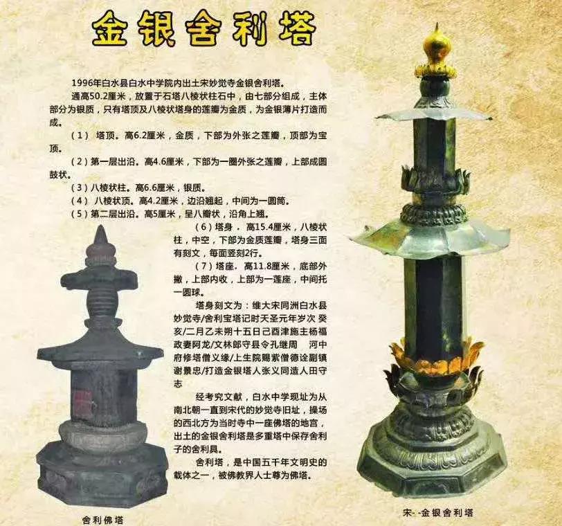 探寻古币珍宝，价值图谱全新升级，尽享收藏盛宴