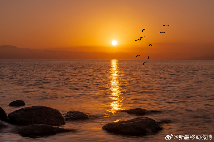 晨曦美好，温馨祝福图集启航