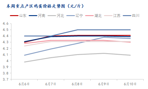 鸡蛋价格新动向：中国市场喜见佳讯