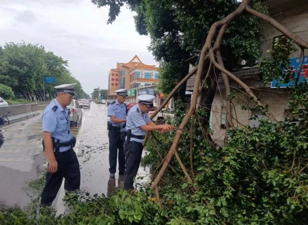 台风海神：风雨同行，共筑平安新篇章