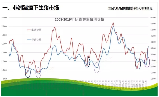 2019年猪肉市场喜讯连连，美好展望尽收眼底