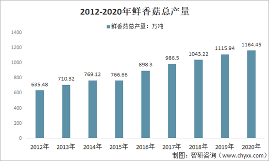 最新香菇市场动态一览