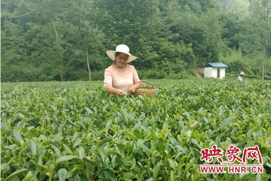 心碎泪如雨