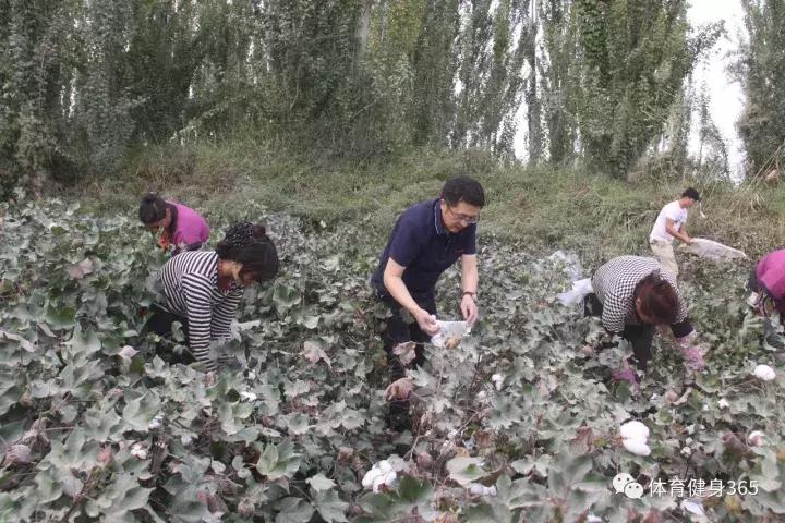 新疆地区火热招募中，最新用工信息大汇总