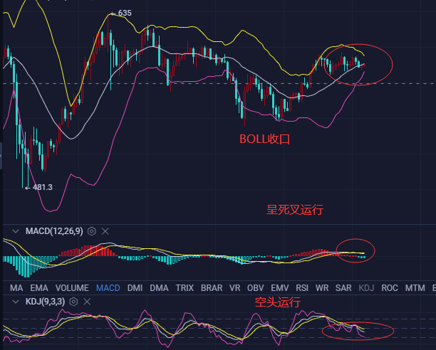 古棉市场最新行情解析：价格走势一览