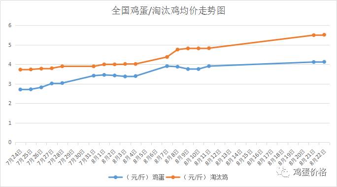 今日淘汰蛋鸡市场报价